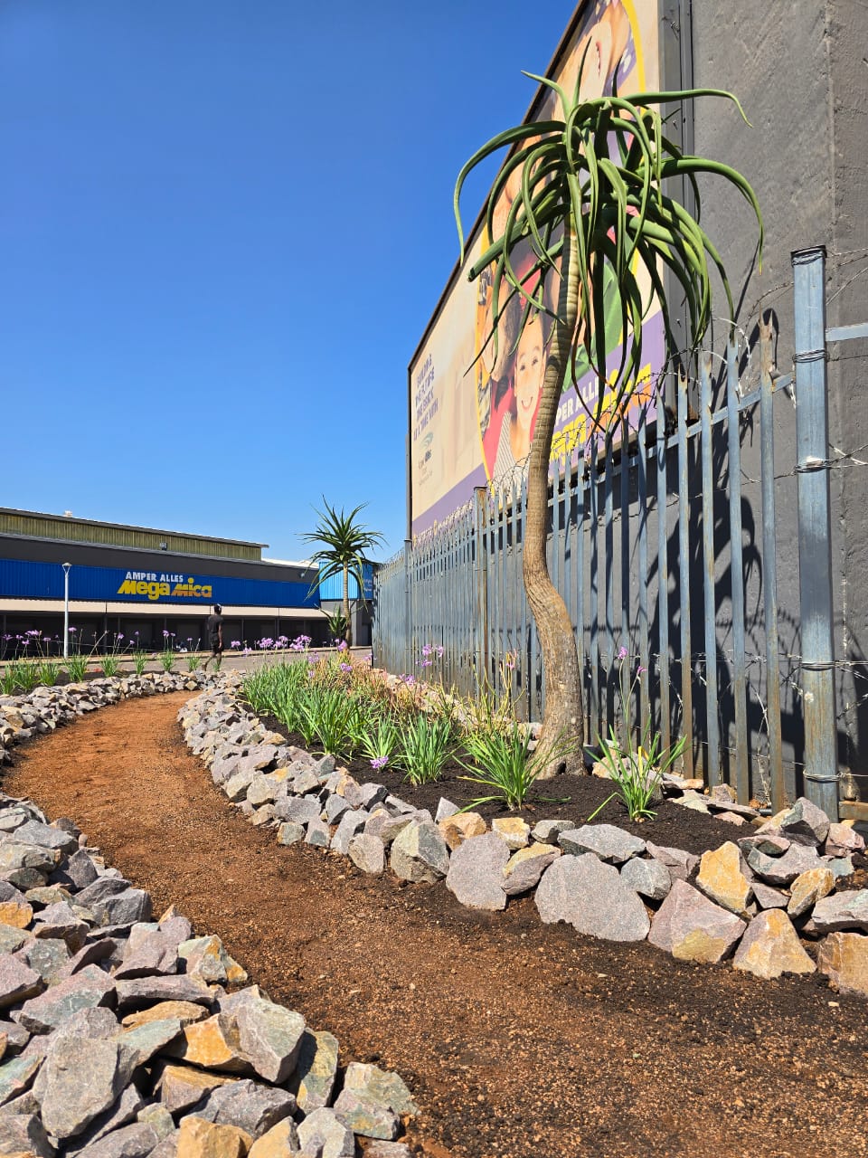 Rock-edged garden path with aloes